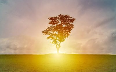 Trayendo Génesis al Evangelismo