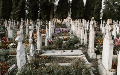 Su Palabra Dice “la Paga Del Pecado Es La Muerte”