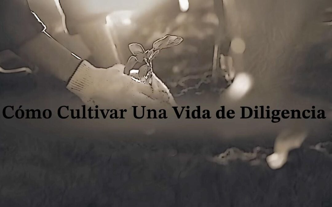 Eres Diligente o Perezoso? Aquí tienes la solución Bíblica
