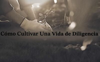 Eres Diligente o Perezoso? Aquí tienes la solución Bíblica