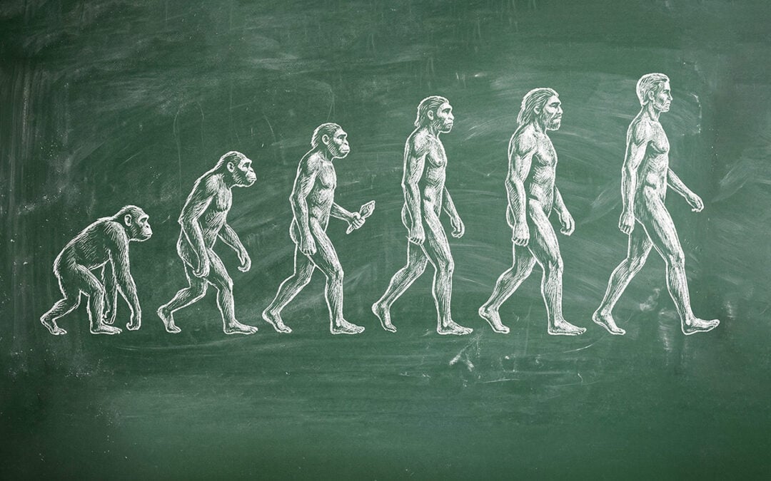 ¿Puede un cristiano creer en la evolución?